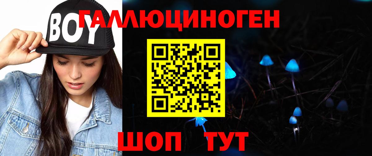 как найти закладки  Вход с VPN  Алексеевка  Галлюциногенные грибы Psilocybe 