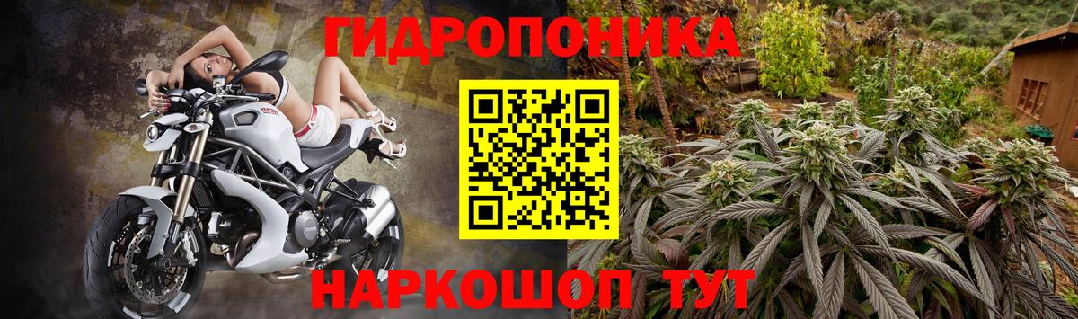 Каннабис Amnesia  Бошки марихуана AK-47  Алексеевка  Вход с VPN  МАРИХУАНА ГИДРОПОН  Бошки марихуана MAZAR 
